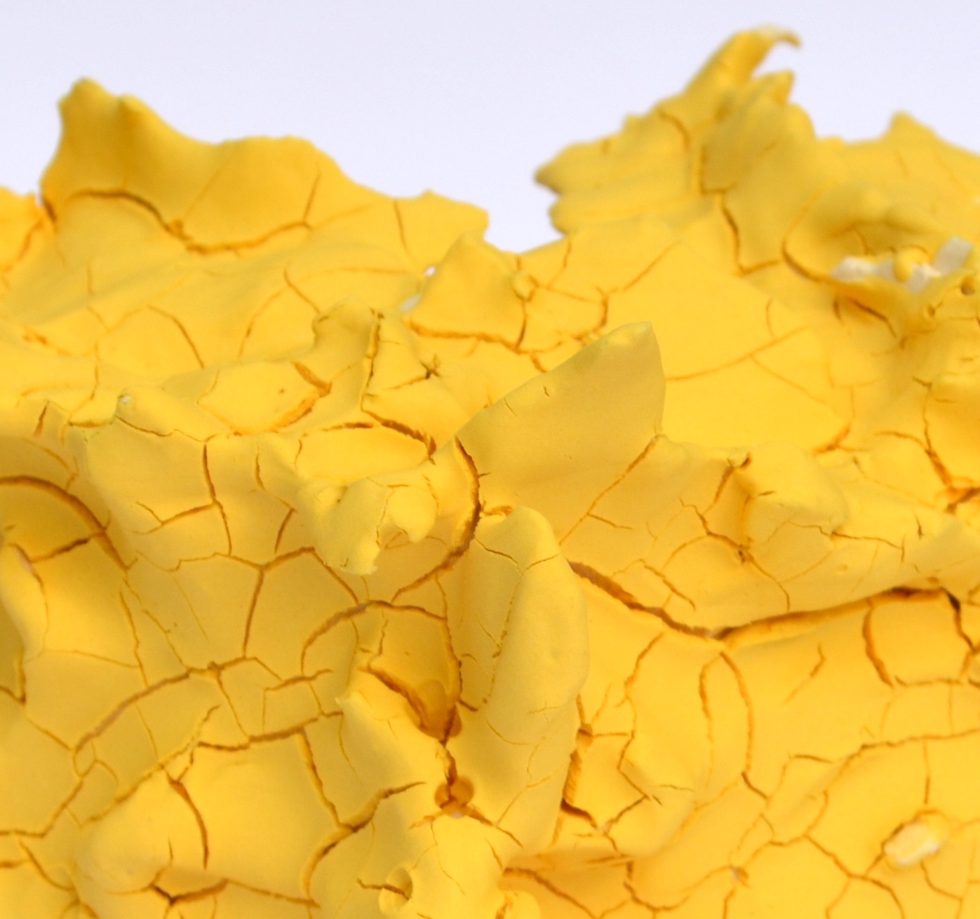 Relic Yellow Close-up