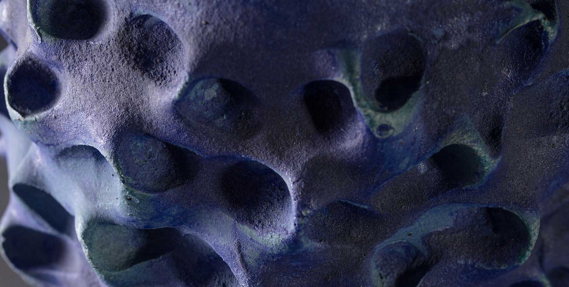 Pacific Relic Close-up
